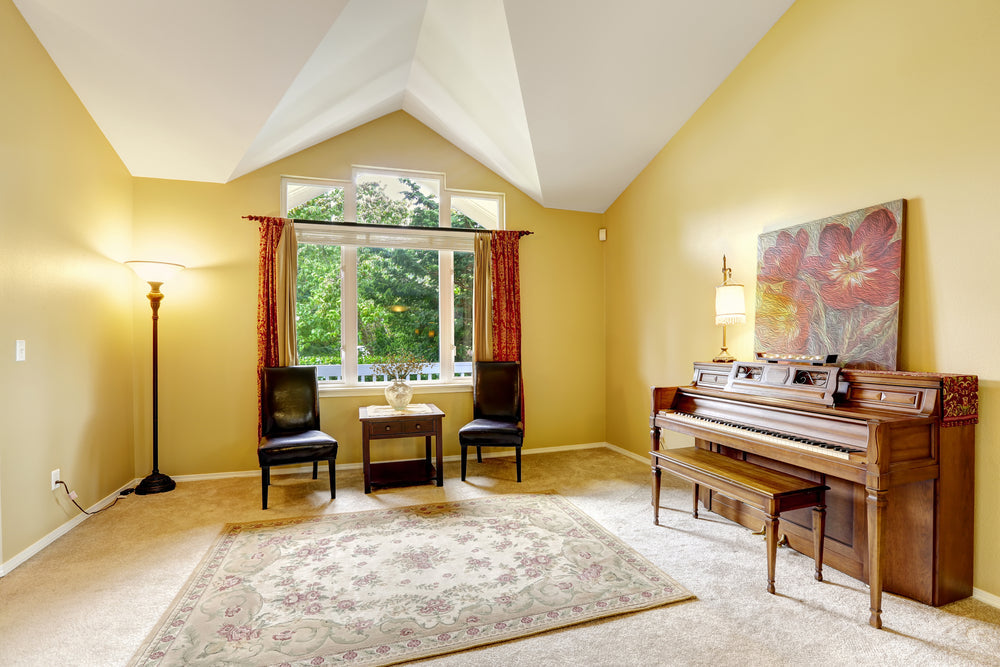 Nourison Rugs