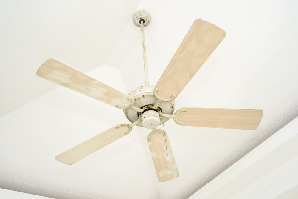 Indoor Ceiling Fans