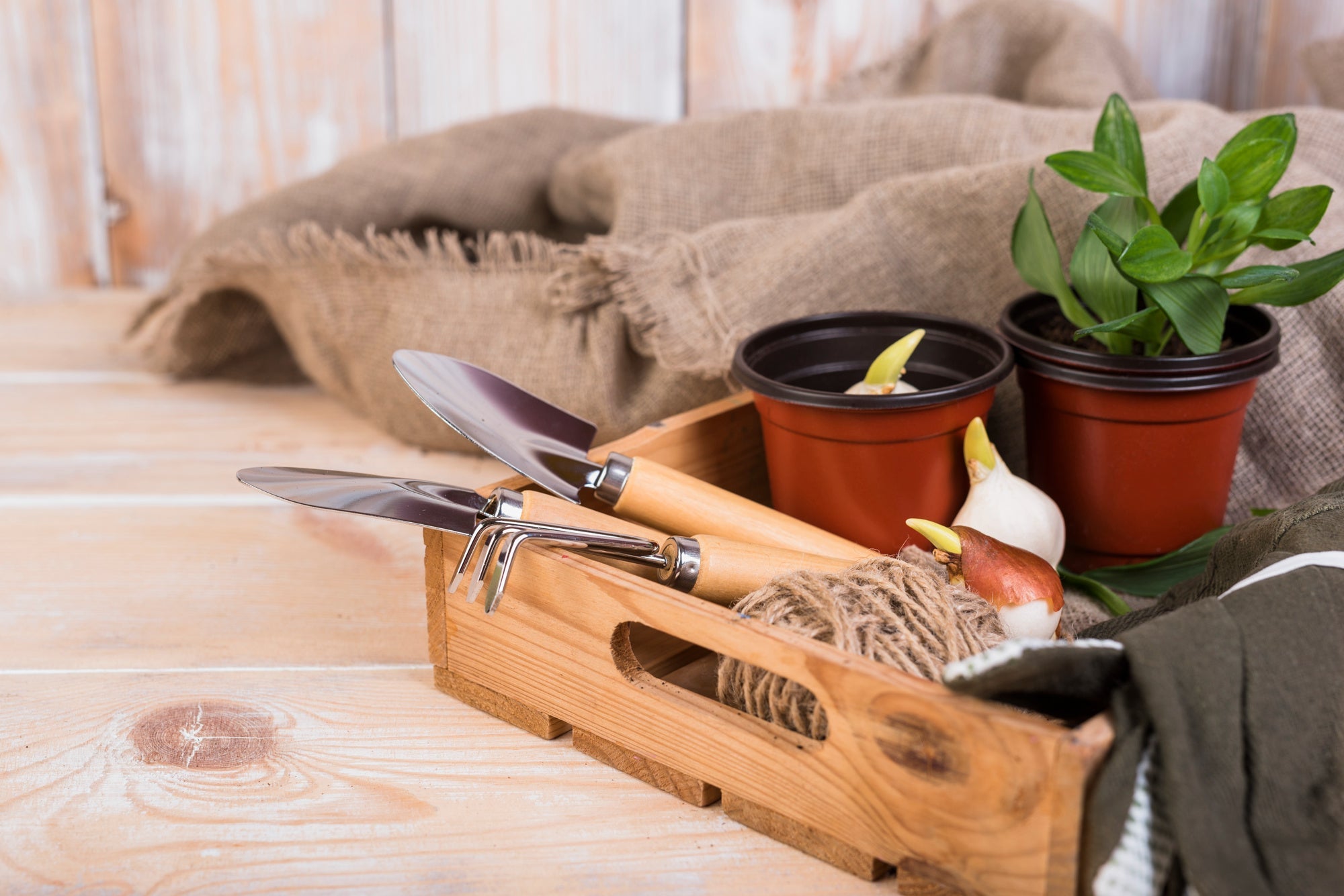 Garden Essentials