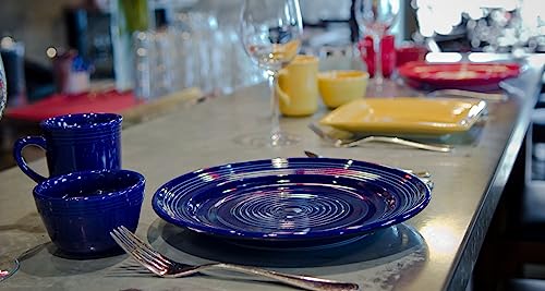 China CCA-104 Plate, 10-1/2" Diameter, Round, Wide Rim