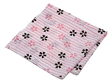 Tajima Glass Fuji Glass Sakura TG16-015-RS rocks glass Japanese Traditional