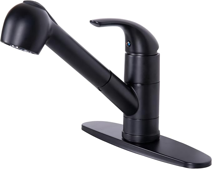 Kitchen Faucets with Pull Down Sprayer