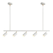 5-Light LED Track Lighting Kit Gold Track Light Flexibly Rotatable Light Head Modern