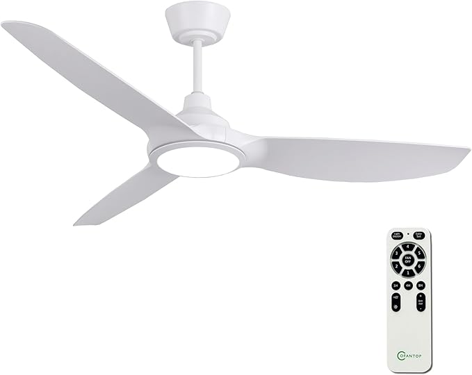Inch Ceiling Fans with Lights and Remote Control, Modern Silver 3 Blade