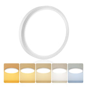 1Pack 15.8 Inch LED Flush Mount Ceiling Light, 35W, 3850LM, 2700K-5000K 5Color