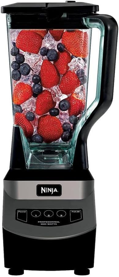 BL660 Professional Compact Smoothie & Food Processing Blender