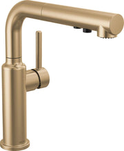 Faucet Daneri Pull-Out Kitchen Faucet, Gold Kitchen Faucets with Pull-Out Sprayer