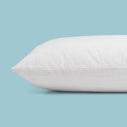 Water Pillow & Cotton Quilted Pillow Protector Pack