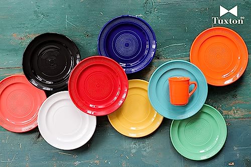 China CCA-104 Plate, 10-1/2" Diameter, Round, Wide Rim