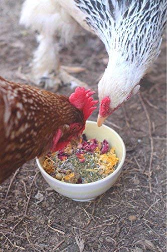 Chicken Mama Best Eggs Ever! Nesting Herbs for Chickens (4 Pounds) Calcium