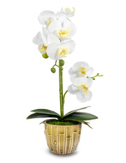Realistic Orchid Artificial Flower Arrangement with Bamboo Ceramic Pot, White