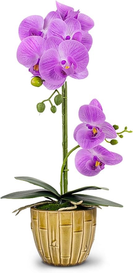 Realistic Orchid Artificial Flower Arrangement with Bamboo Ceramic Pot, White