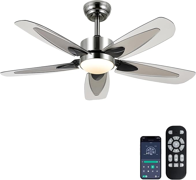 Ceiling Fans with Lights and Remote/APP, Outdoor Ceiling Fan with 5 ABS Blades