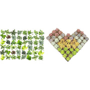 Easy to Grow Houseplants (48 Pack) Live House Plants in Plant Containers, Growers