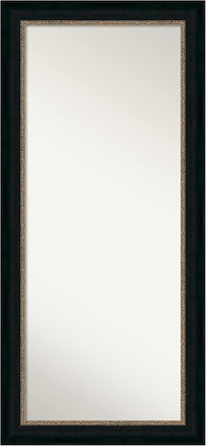 Bronze Full Length Mirror, 66x30 Ridge Bronze Tall Free Standing Body Wall Mirror