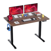 48 Inch Electric Standing Desk Computer Desk with Large Space