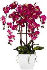 Studios Potted Silk Faux Artificial Flowers Arrangements Realistic Purple Fuchsia Orchid