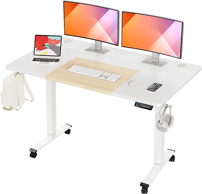 55x28 Inches Electric Height Adjustable Standing Desk, Sit Stand Desk with Memory