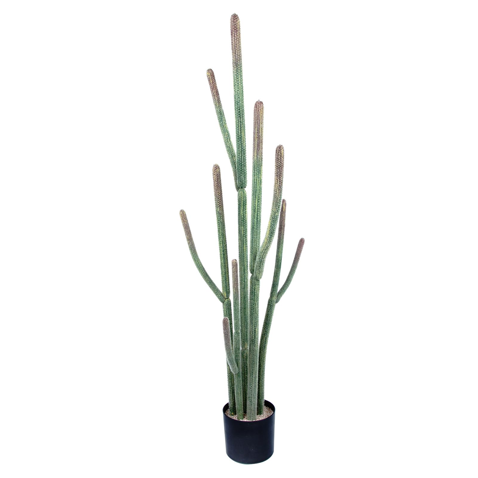 Tall UV Resistant Faux Cactus Plant，60in Realistic Texture Tall Fake Plant, Artificial Cactus