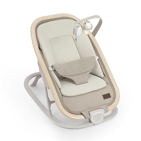 Noah 2-in-1 Baby Bouncer Seat, Portable Baby Rocker Chair for Infants 0-9 Months