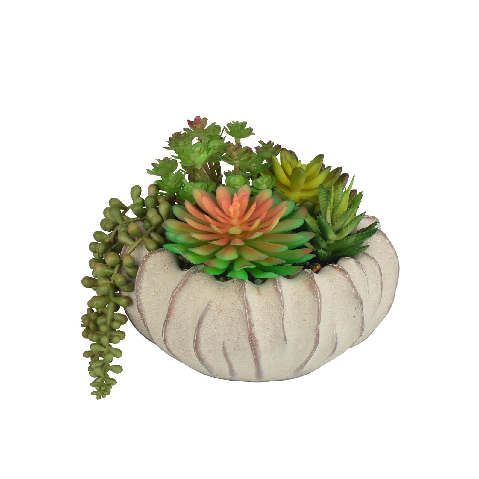 Succulent Artificial Plants in Cement Pots - Decorate Your Home and Office