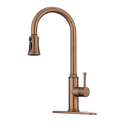 Rose Gold Kitchen Faucet with Pull Down Sprayer