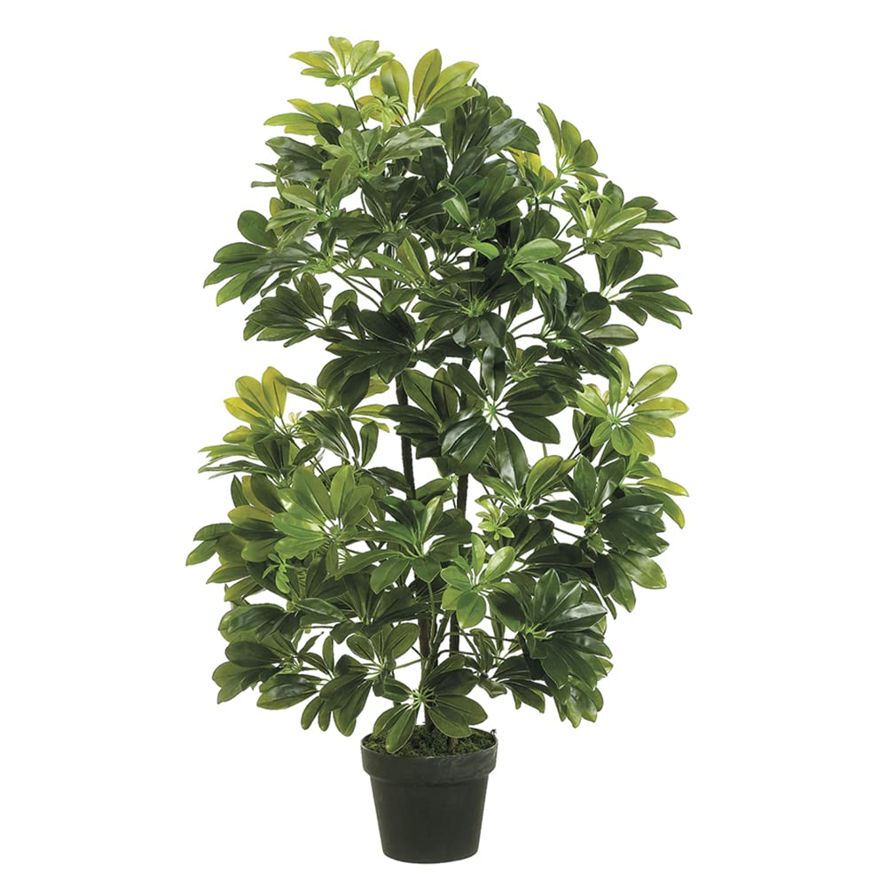 40" EVA Schefflera in Black Plastic Pot Green (Pack of 2)