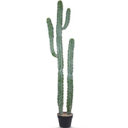 Artificial Cactus Potted Plant 59 Inch Faux Desert Cacti Fake Big Cactus Plant for Home