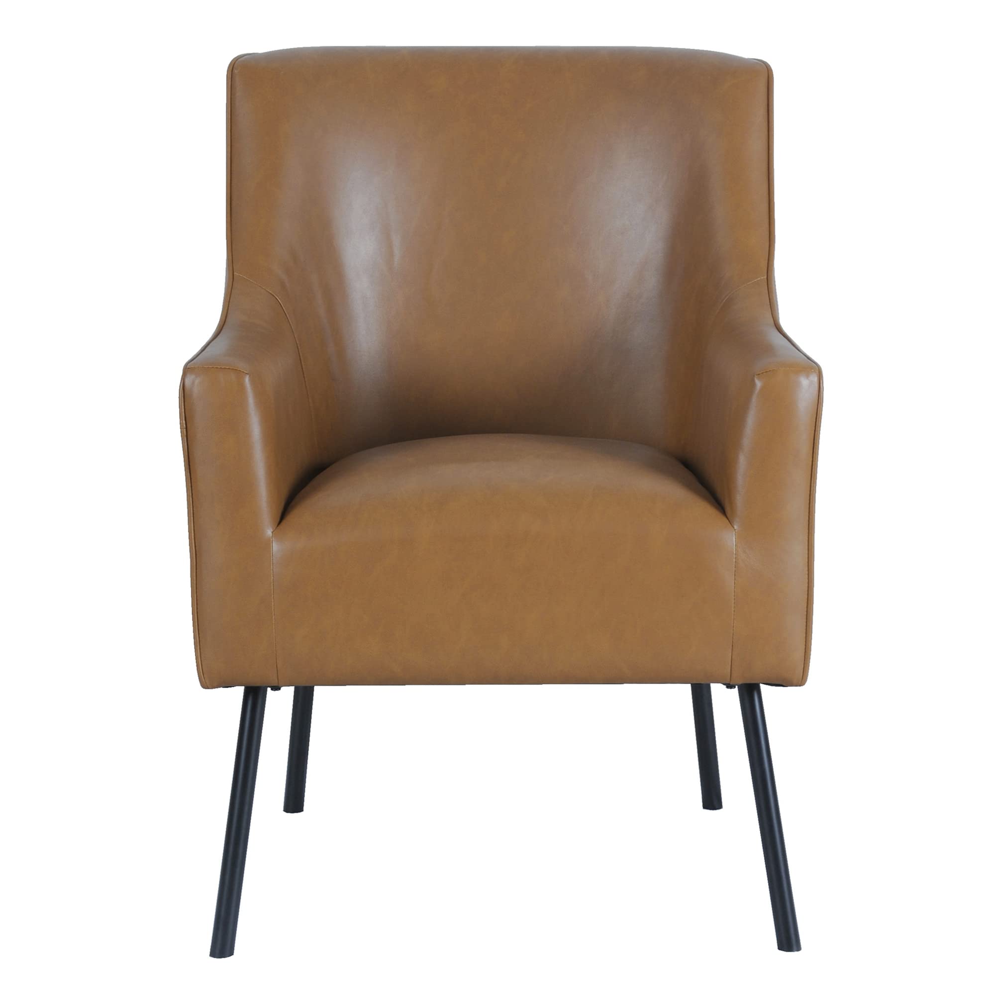 Modern Accent Chair