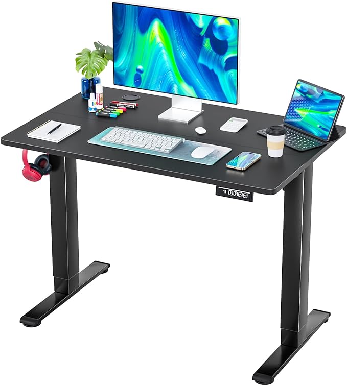 48 Inch Electric Standing Desk Computer Desk with Large Space