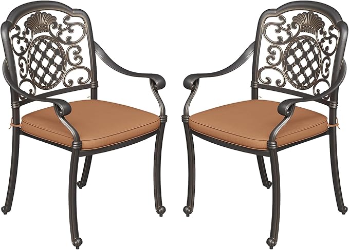 Chairs Set of 2, Aluminum Outdoor Chairs with Removable Cushions, Metal Frame
