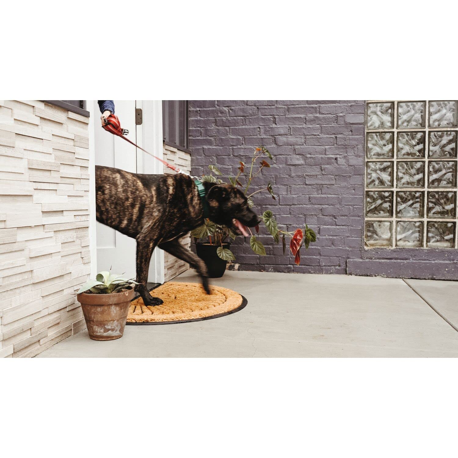 Crescent, Rubber-Backed Natural Coir Doormat, Entry Mat for Indoor or Outdoor Use, 24"x39"