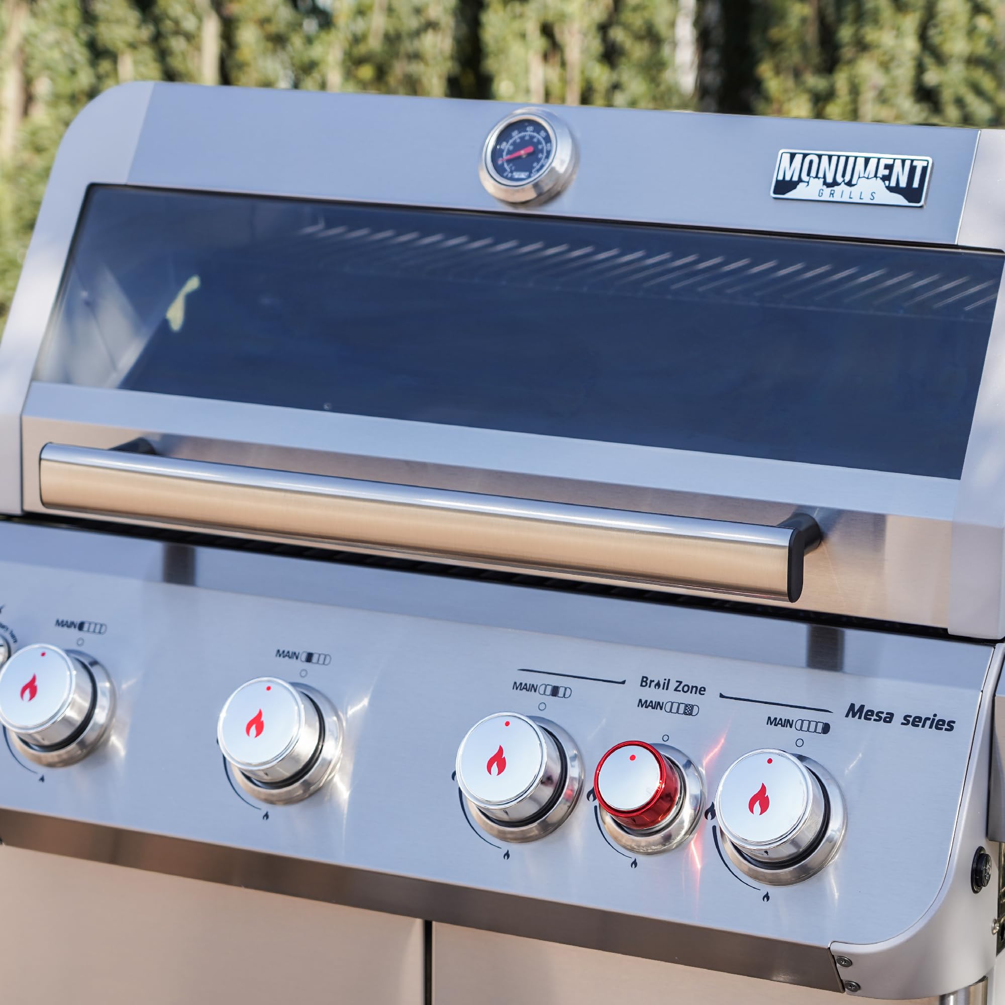 Outdoor Barbecue Stainless Steel 4 Burner Propane Gas Grill, 62