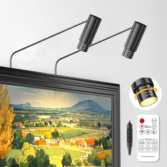 Zoomable Picture Light Spotlight,Plug in LED Picture Lights for Wall 3000K Photo