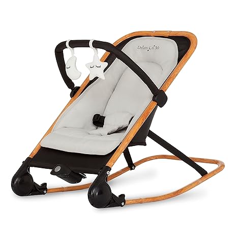 Rock With Me 2-in-1 Baby Rocker and Stationary Seat