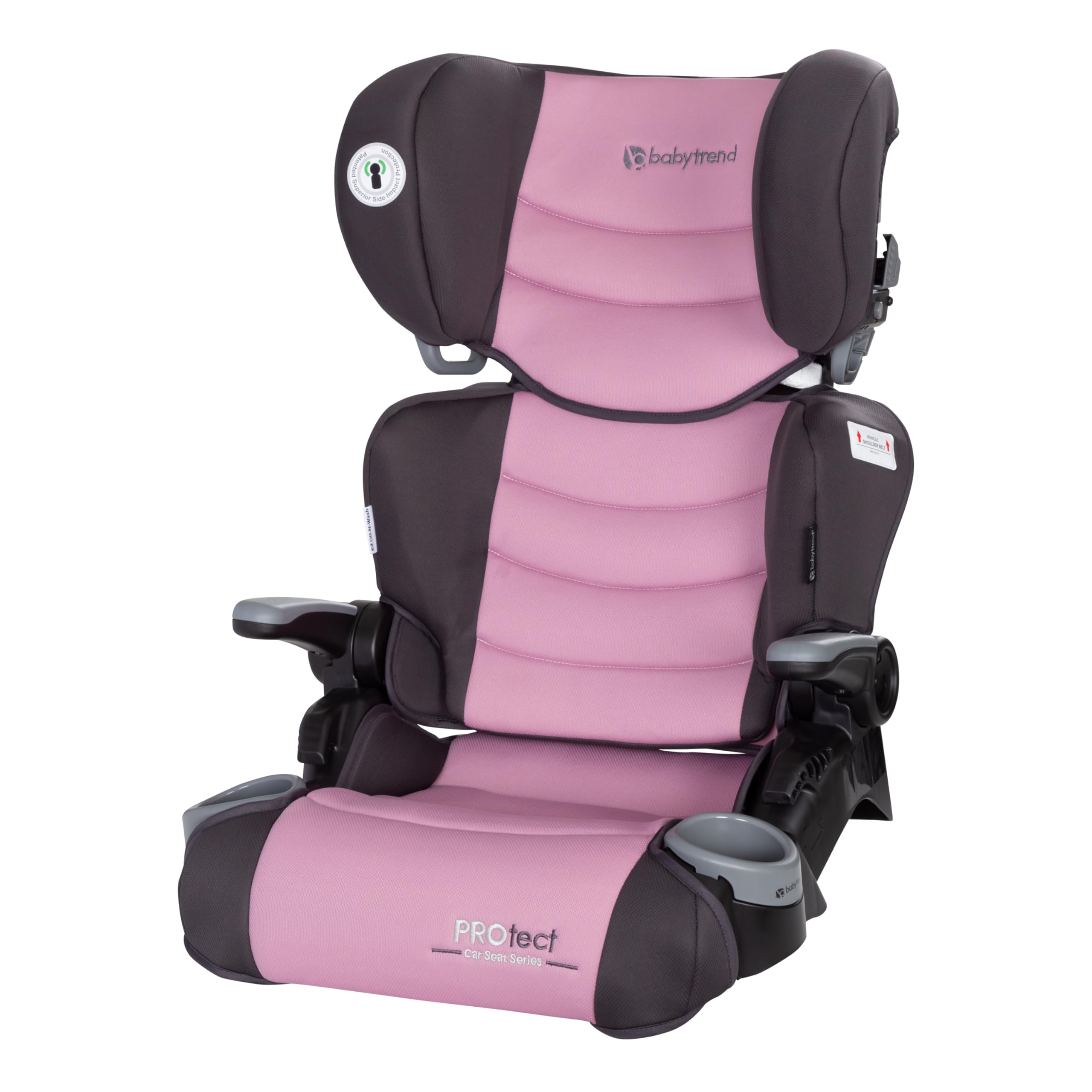 Protect 2-in-1 Folding Booster Seat, Dash Rose