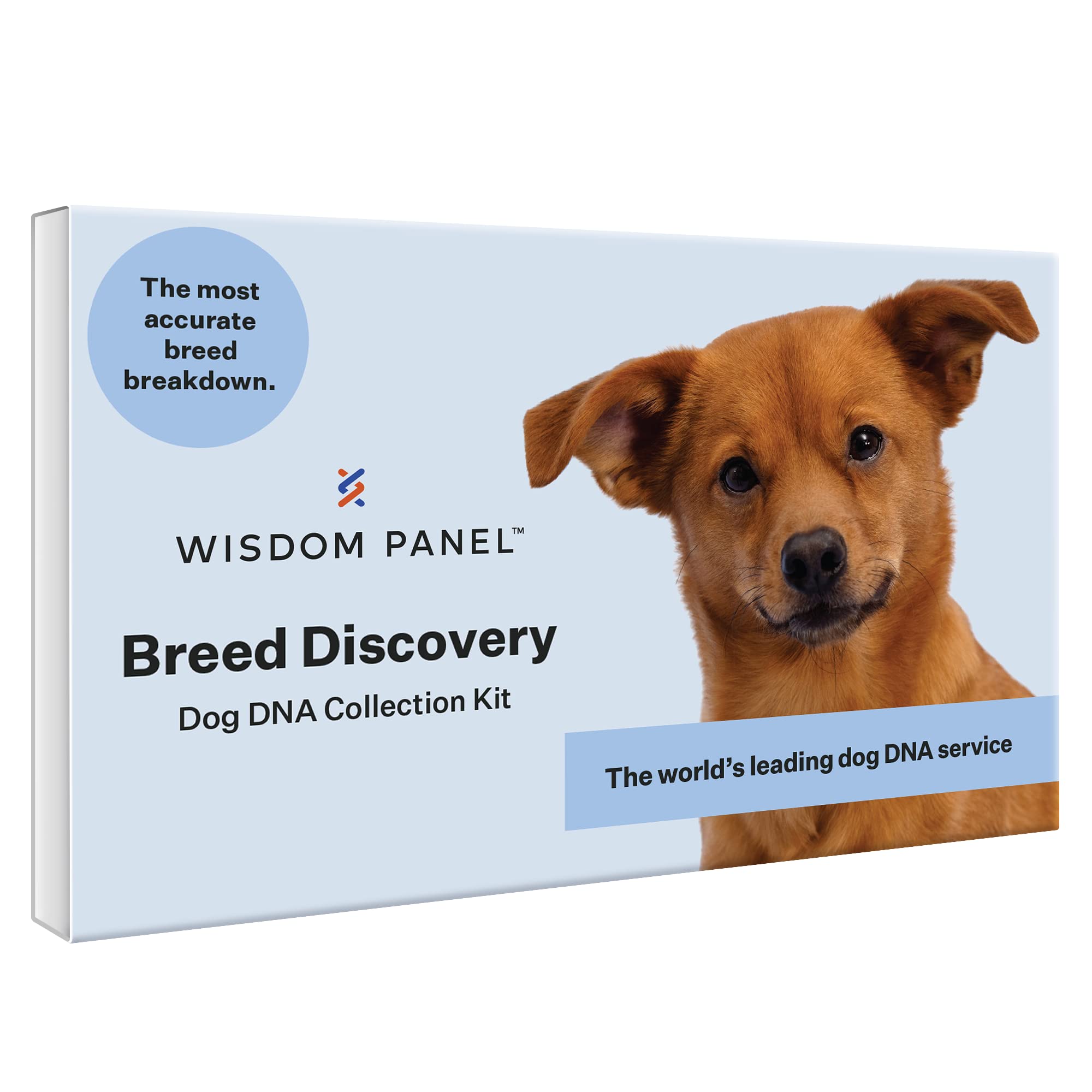 Panel Breed Discovery Dog DNA Kit: Most Accurate Dog Breed Identification