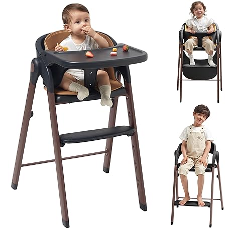 Chair for Babies and Toddlers Adjustable Foldable Convertible 5 Point Harness