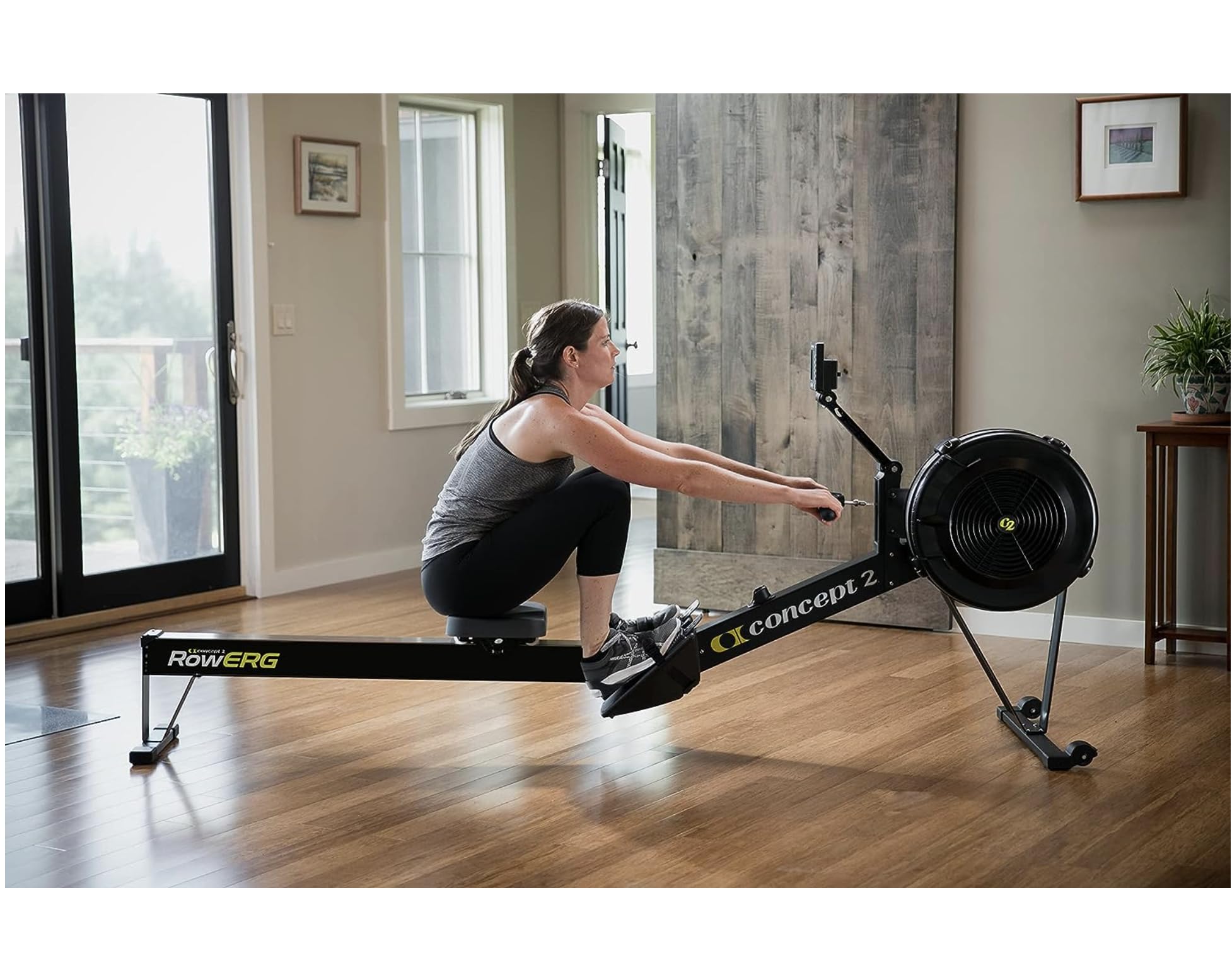 RowErg Model D Indoor Rowing Machine with PM5 Monitor,