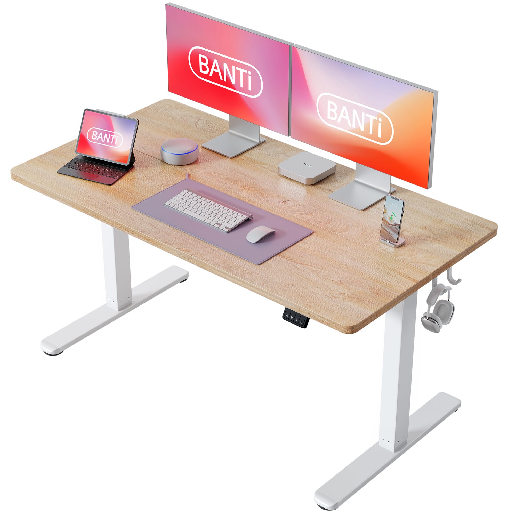 55'' Standing Desk, Electric Stand up Height Adjustable Home Office Table