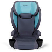 Grow and Go 2-in-1 Booster Car Seat with ComfortWings