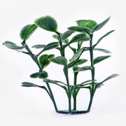 12 Pieces 20"x 20" Artificial Boxwood Panels Topiary Hedge Plant, Privacy Hedge