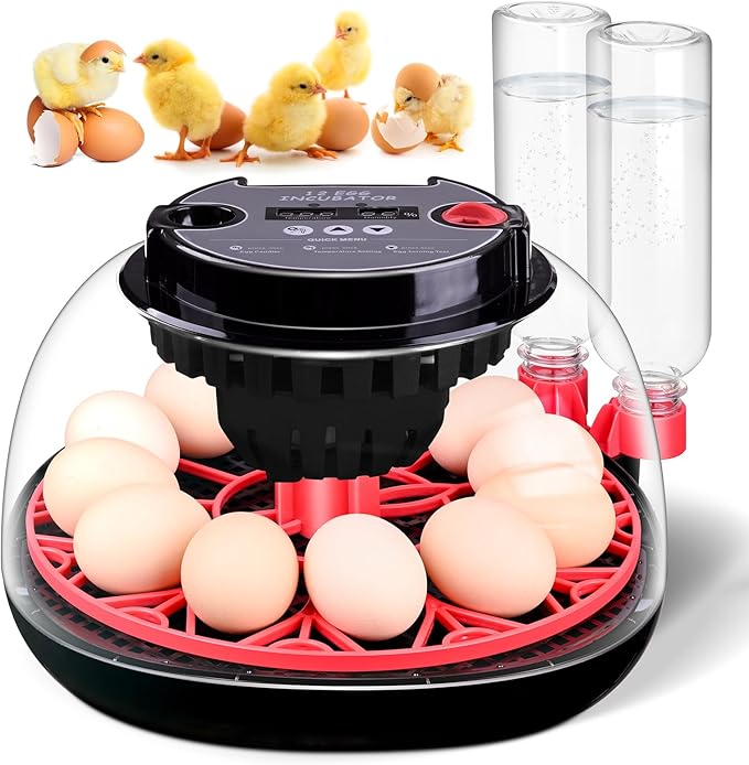 Incubators for Hatching Eggs Automatic Egg Turner, Temperature & Humidity