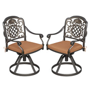 Chairs Set of 2, Aluminum Outdoor Chairs with Removable Cushions, Metal Frame