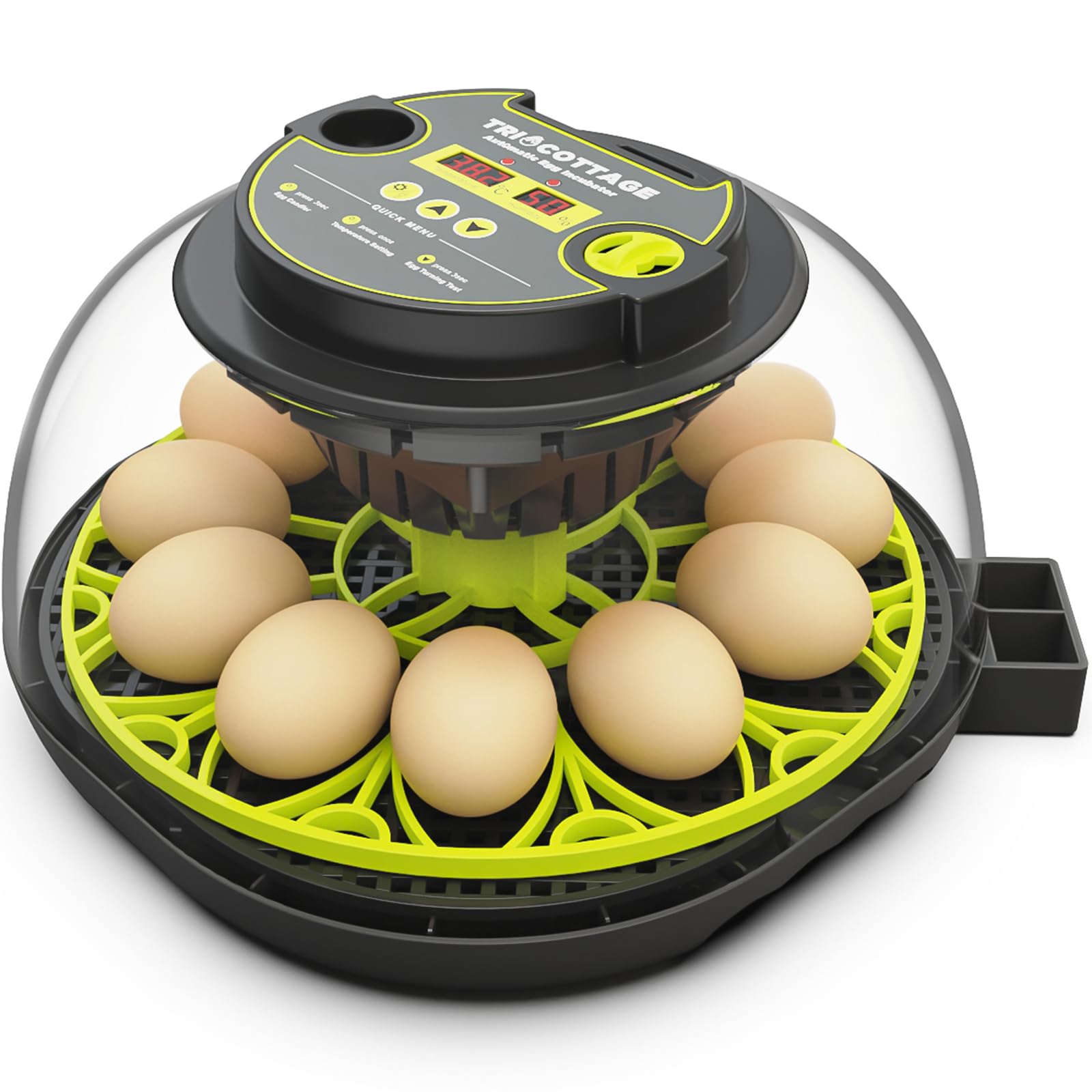 Hatching Eggs 12 Egg Incubator with Automatic Egg Turning and Humidity Control