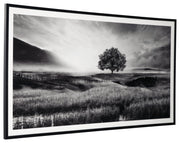 Deborland Modern Framed Pasture Print Wall Art 87 x 46 Inches, Black & White