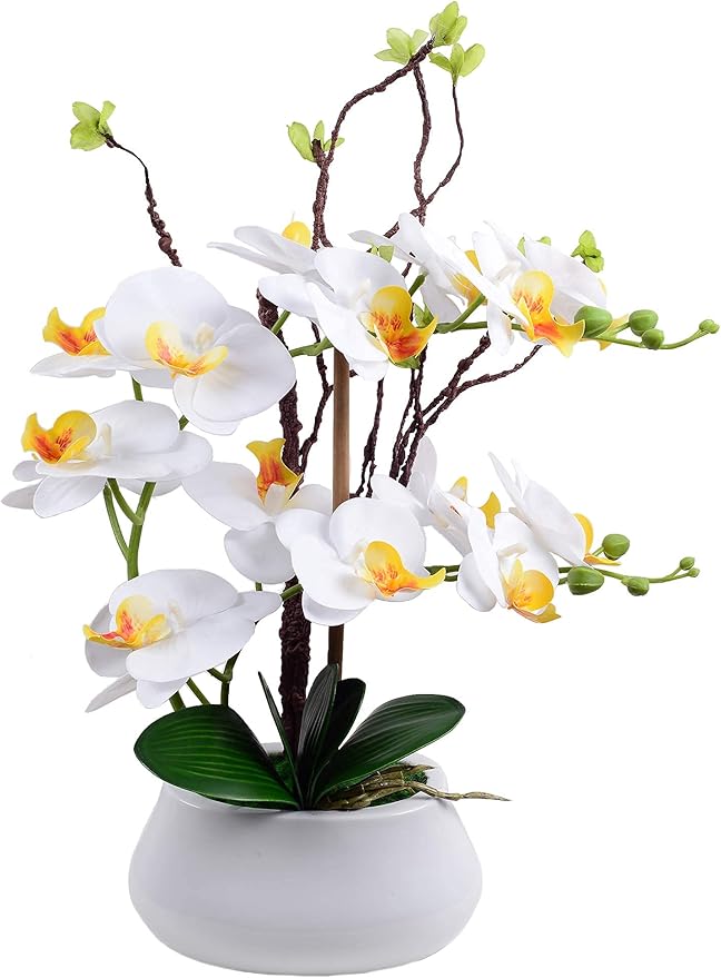 Artificial Orchid Plants and Flowers with Vase, Fake Faux Orchid in Ceramic Pot,17”, Fuchsia