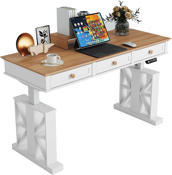 Electric Standing Desk with Drawers, 51×20 Inch Adjustable Height, Stand Up Desk