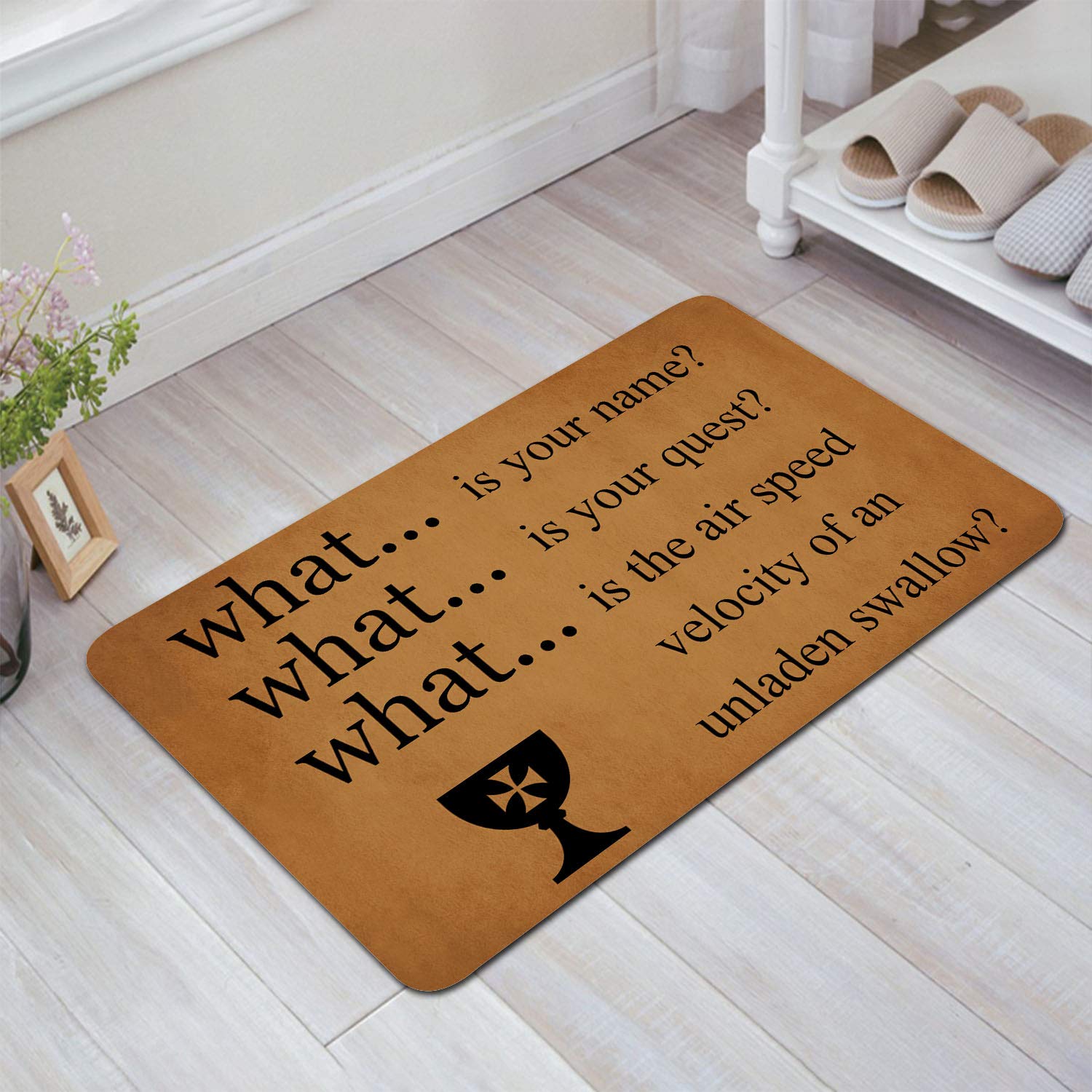 Monty, Python and The Holy, Grail Floor Rug Indoor/Front Door Mats Home Decor