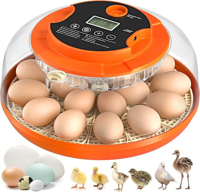 Automatic Egg Turning and Humidity Control, Incubators for Hatching Eggs